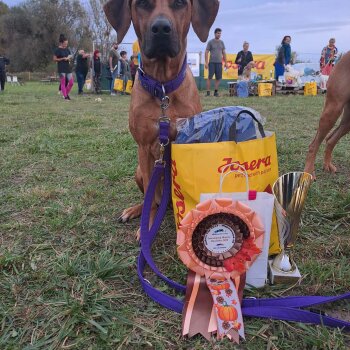 Fleur Mistr Slovenské republiky